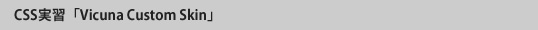 CSS実習「ビキューナカスタムスキン」